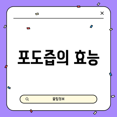 포도즙의 효능