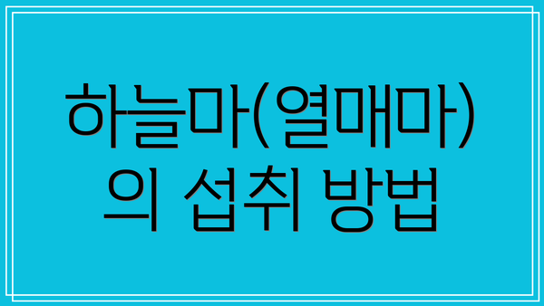 하늘마(열매마)의 섭취 방법