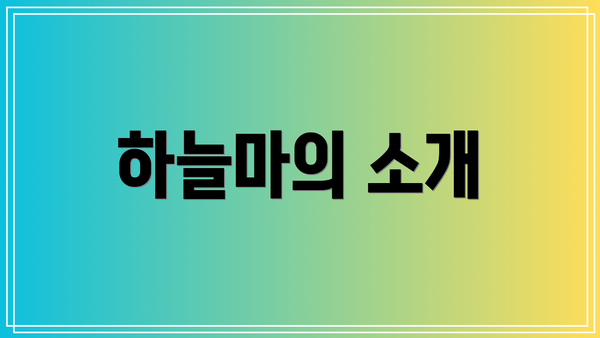 하늘마의 소개