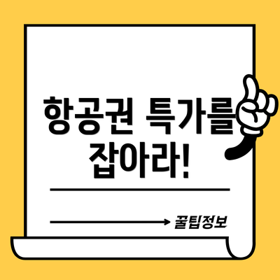 항공권 특가를 잡아라!