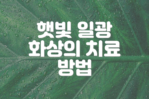 햇빛 일광 화상의 치료 방법