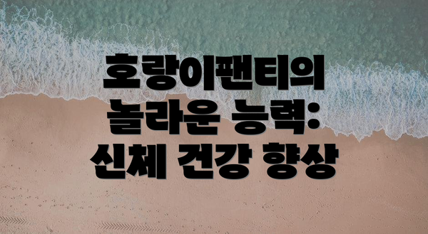 호랑이팬티의 놀라운 능력: 신체 건강 향상