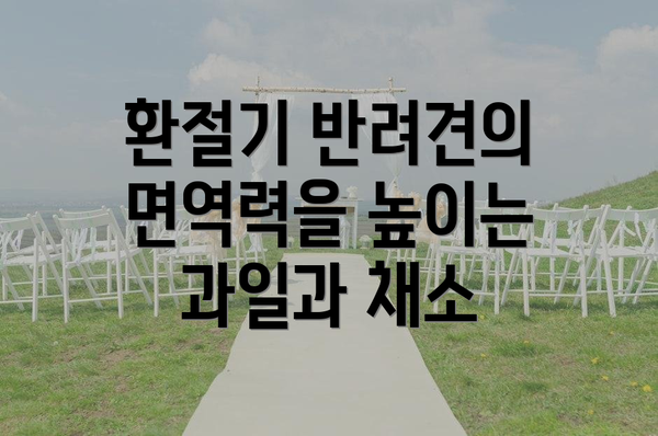 환절기 반려견의 면역력을 높이는 과일과 채소