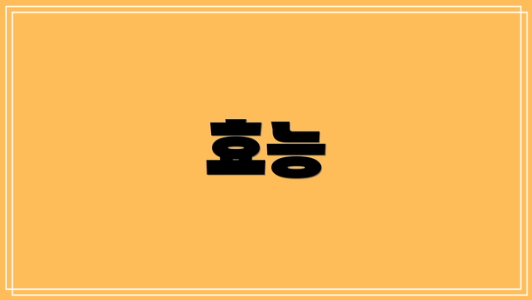 효능