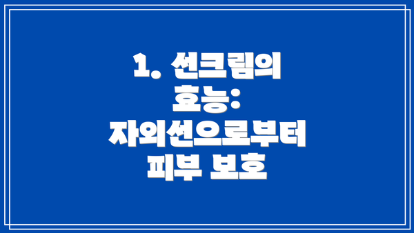 1. 선크림의 효능: 자외선으로부터 피부 보호