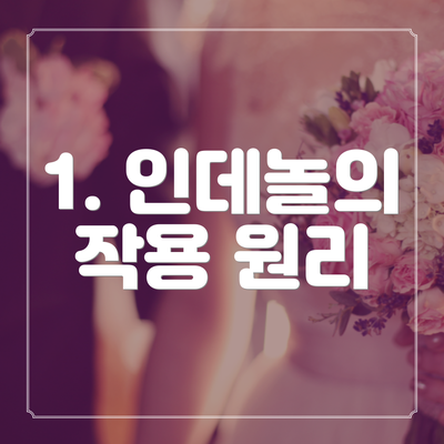 1. 인데놀의 작용 원리