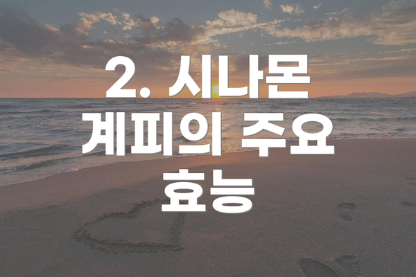 2. 시나몬 계피의 주요 효능