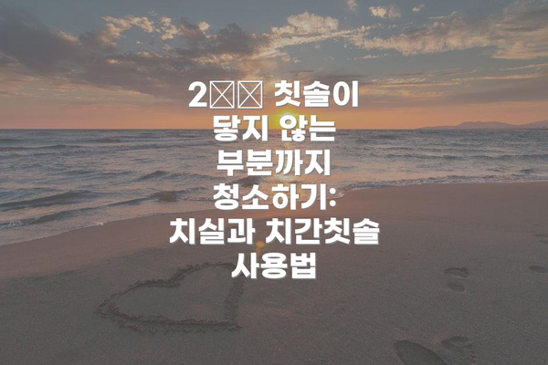 2️⃣ 칫솔이 닿지 않는 부분까지 청소하기: 치실과 치간칫솔 사용법