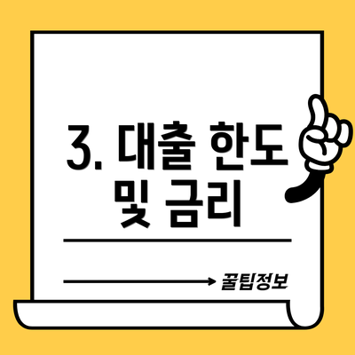3. 대출 한도 및 금리