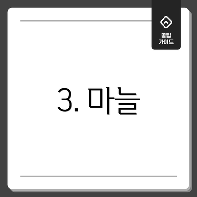 3. 마늘