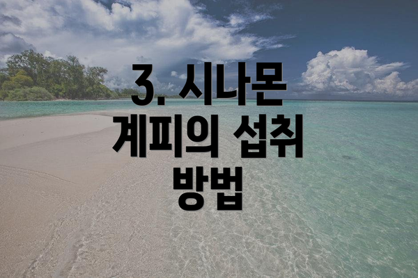 3. 시나몬 계피의 섭취 방법