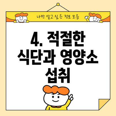 4. 적절한 식단과 영양소 섭취