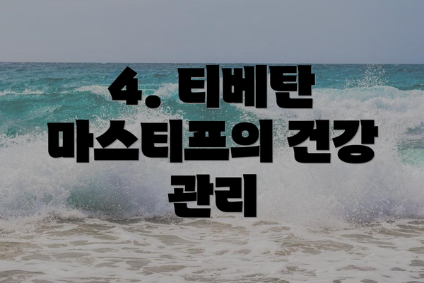 4. 티베탄 마스티프의 건강 관리