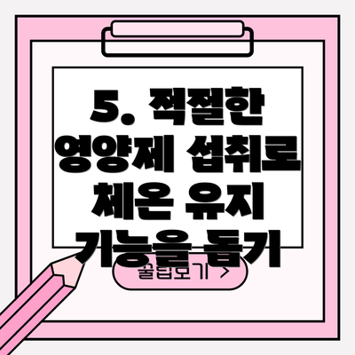 5. 적절한 영양제 섭취로 체온 유지 기능을 돕기