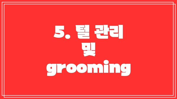 5. 털 관리 및 grooming