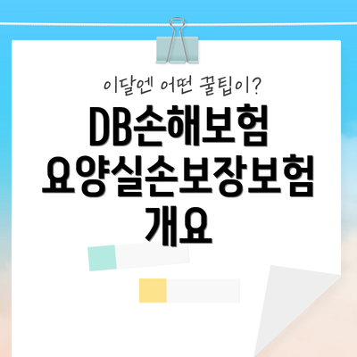 DB손해보험 요양실손보장보험 개요