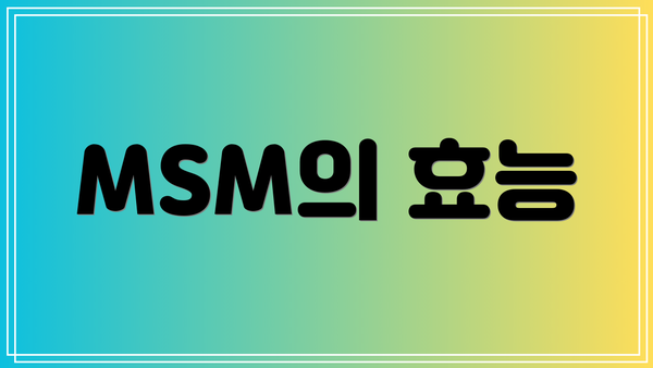 MSM의 효능