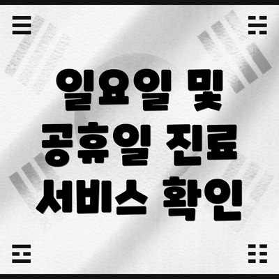 일요일 및 공휴일 진료 서비스 확인