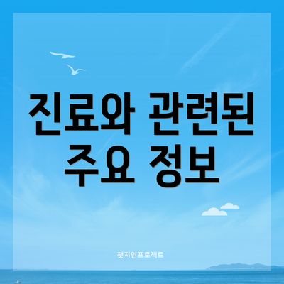 진료와 관련된 주요 정보