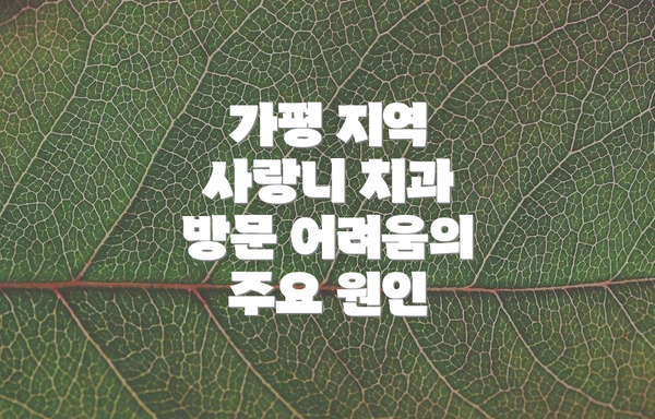 가평 지역 사랑니 치과 방문 어려움의 주요 원인