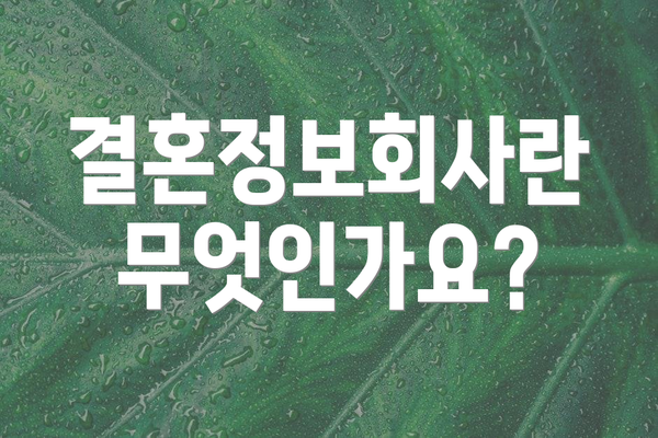 결혼정보회사란 무엇인가요?