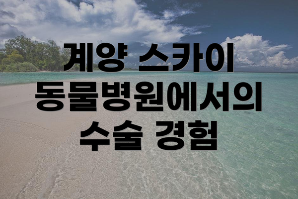 계양 스카이 동물병원에서의 수술 경험
