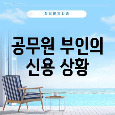 공무원 부인의 신용 상황