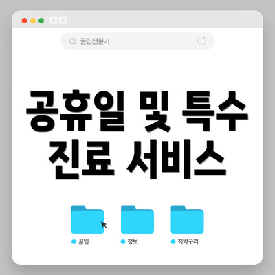 공휴일 및 특수 진료 서비스