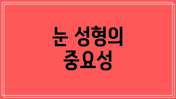눈 성형의 중요성