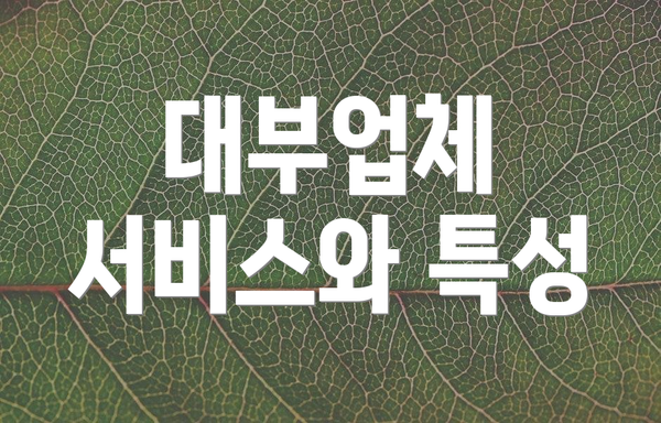 대부업체 서비스와 특성