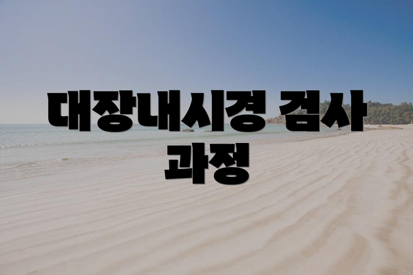 대장내시경 검사 과정