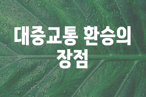 대중교통 환승의 장점