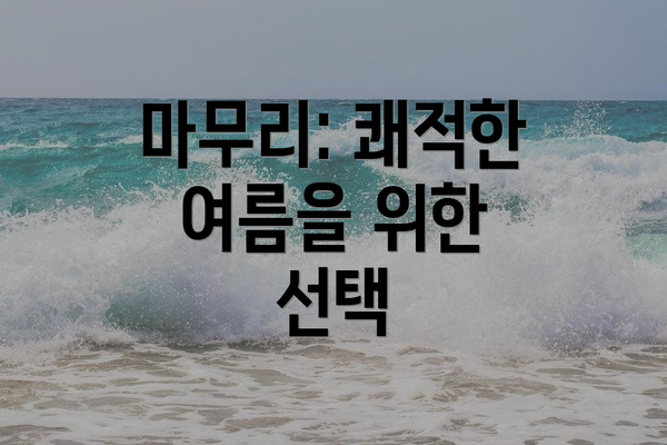 마무리: 쾌적한 여름을 위한 선택