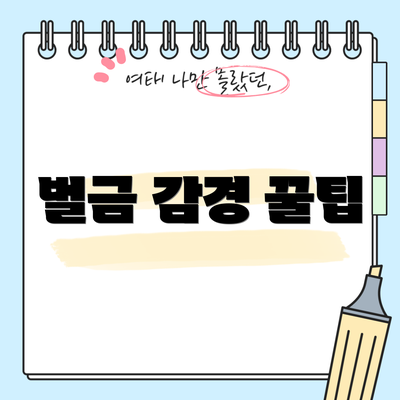 벌금 감경 꿀팁