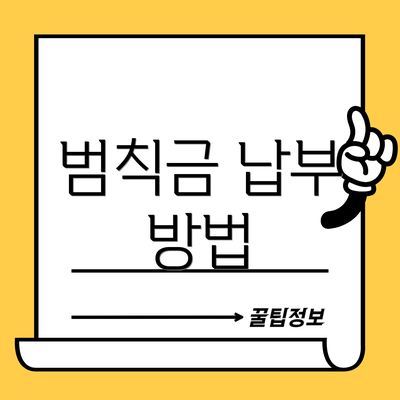 범칙금 납부 방법