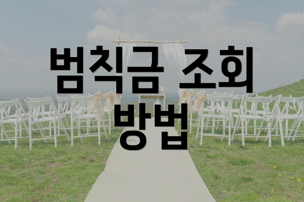 범칙금 조회 방법