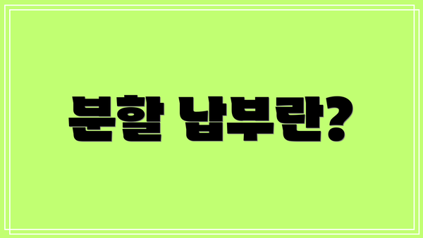 분할 납부란?