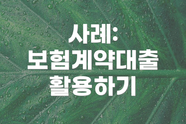 사례: 보험계약대출 활용하기