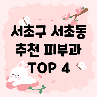 서초구 서초동 추천 피부과 TOP 4