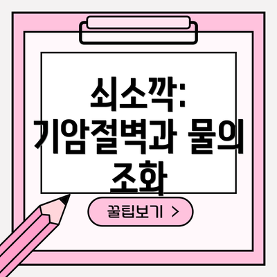 쇠소깍: 기암절벽과 물의 조화