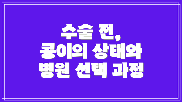 수술 전, 콩이의 상태와 병원 선택 과정