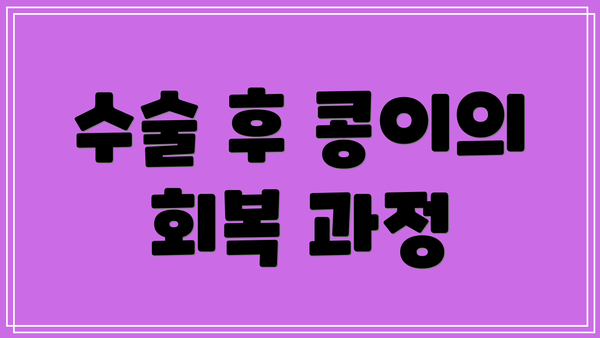 수술 후 콩이의 회복 과정