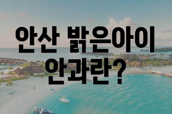 안산 밝은아이 안과란?