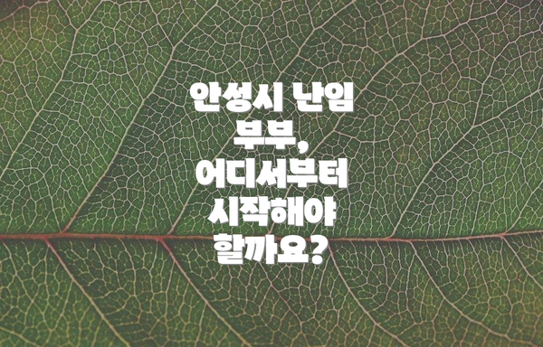 안성시 난임 부부, 어디서부터 시작해야 할까요?