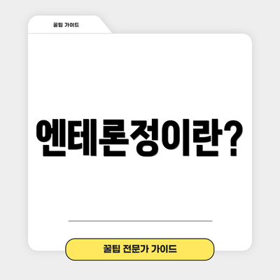 엔테론정이란?