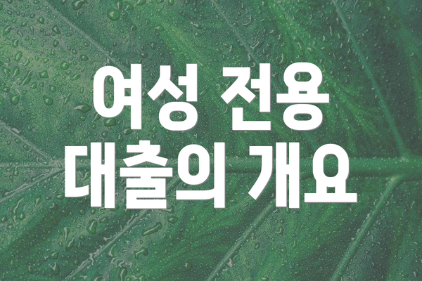 여성 전용 대출의 개요