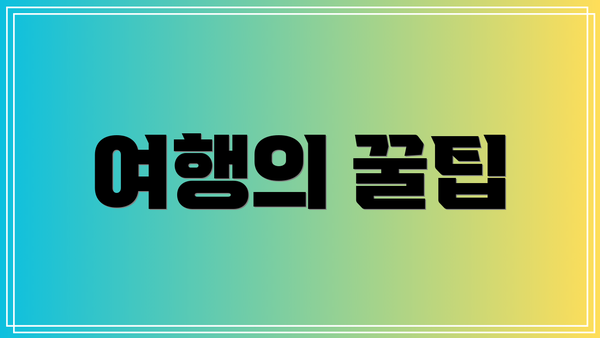 여행의 꿀팁