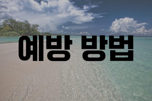 예방 방법