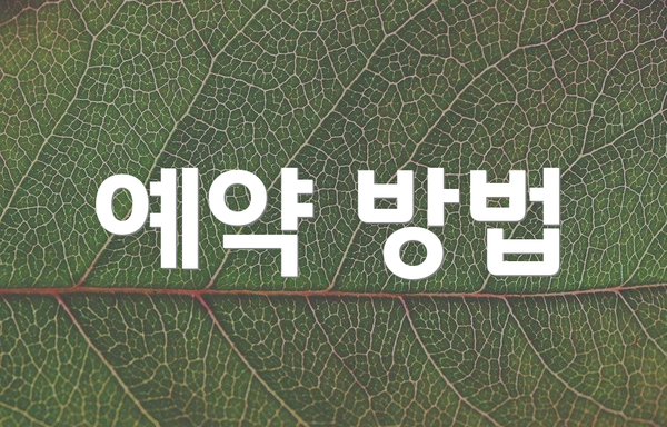 예약 방법