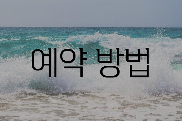 예약 방법